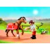 Конструктор Playmobil Коллекционный Коннемарский пони (Collectible Connemara Pony), арт.70516